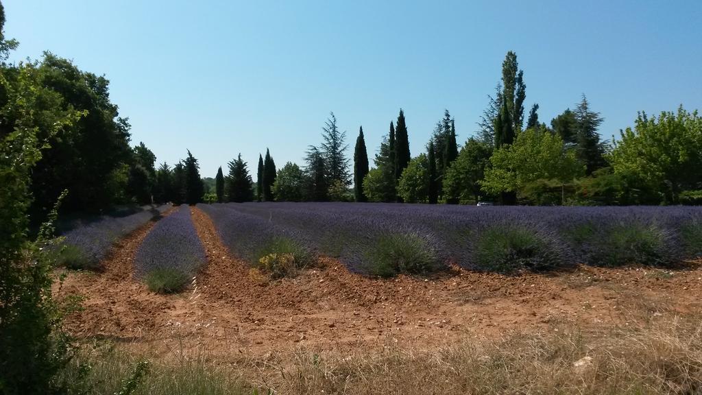 Residence Les Rossignols Roussillon en Isere Eksteriør bilde
