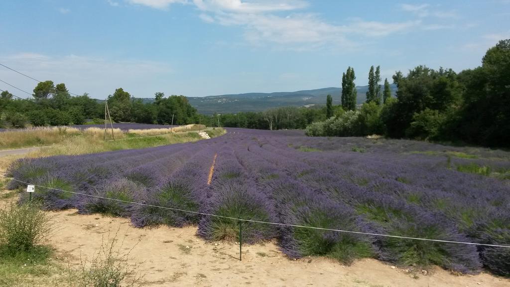 Residence Les Rossignols Roussillon en Isere Eksteriør bilde